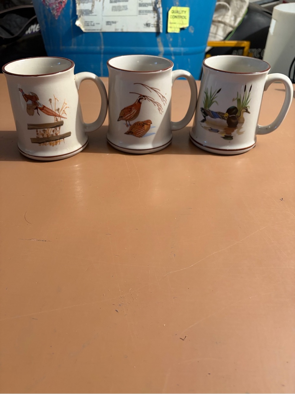 Ceramic Bird-Illustrated Coffee Mug - White with Brown Trim